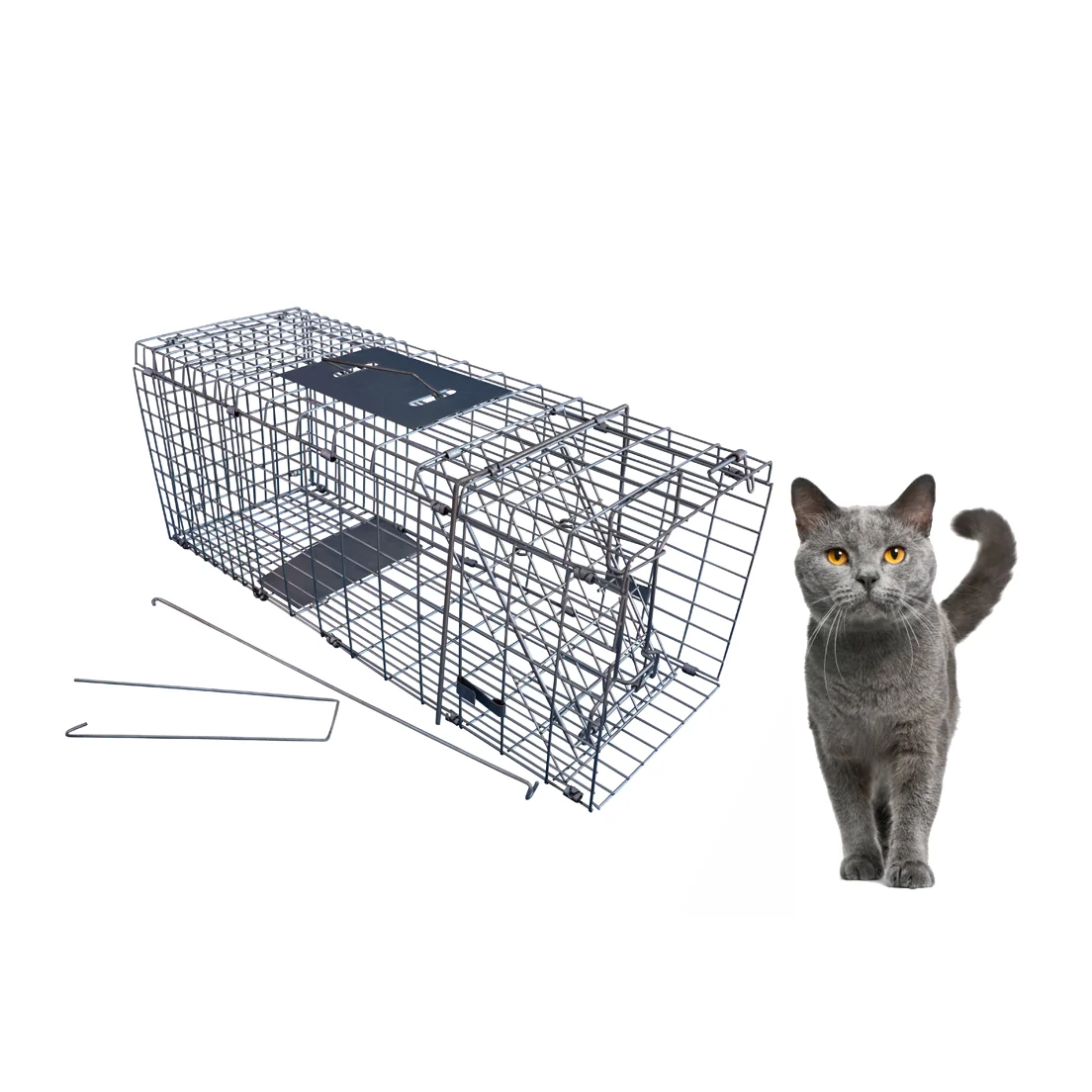 Buy Galvanized Stray Feral Cat Raccoon Living Animal Traps Cage For Sale