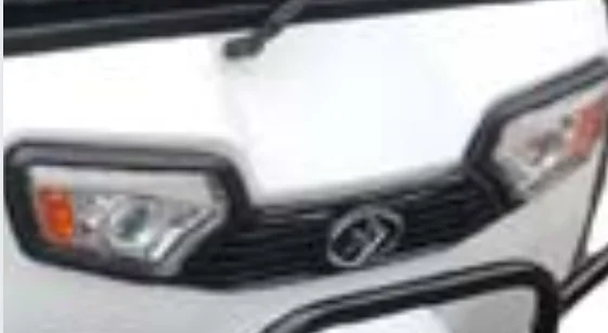 Best Quality Eec Three Wheel Motorcycle Electric 1000W Tricycle LED LCD Electric 3 Wheel Scooter 60V Closed Solar 3 Wheeler 7-9h