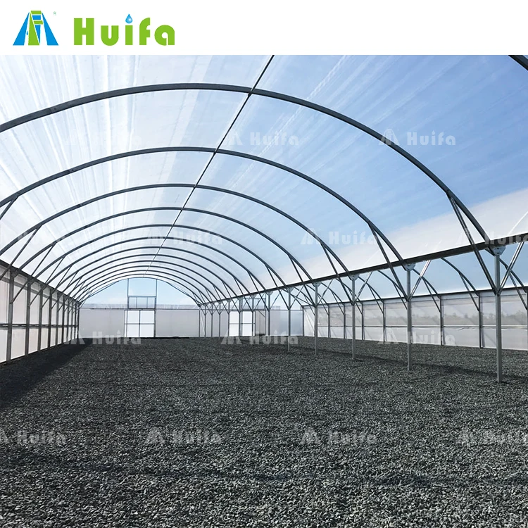 Agricultural Equipment Multi-span Tomato High Tunnel Green House Plastic Film Low Cost Greenhouse