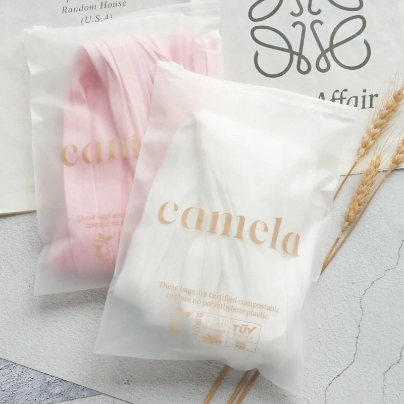 custom bags with logo plastic bag resealable printed frosted zipper zip lock packaging bags for clothing
