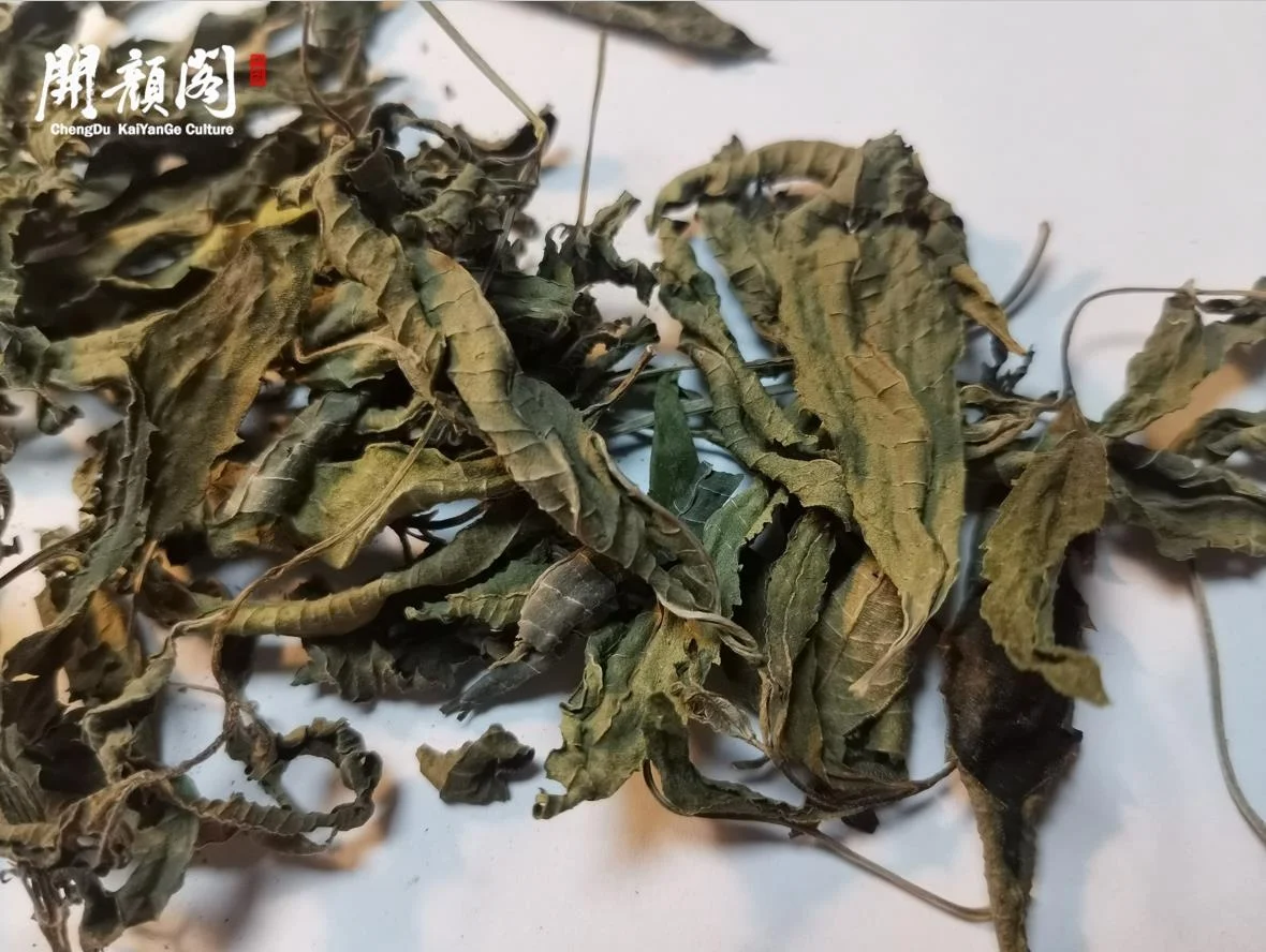 Natural Lemon Verbena Leaf Wholesale Lemon Verbena Tea Dry Ma Bian Cao wholesale dried pure leaf lemon verbena lea
