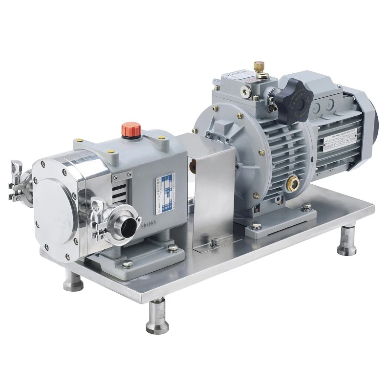 Direct Sales Stainless Steel Rotor Lobe Pump Positive Displacement Ketchup Pump for Food Industry 2kw-75kw Power Options