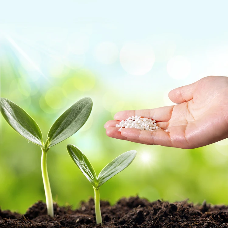 100% Biodegradable Pla Polylactic Acid Plastic Granule Resin Bag Grade Raw Material Pla Pellets