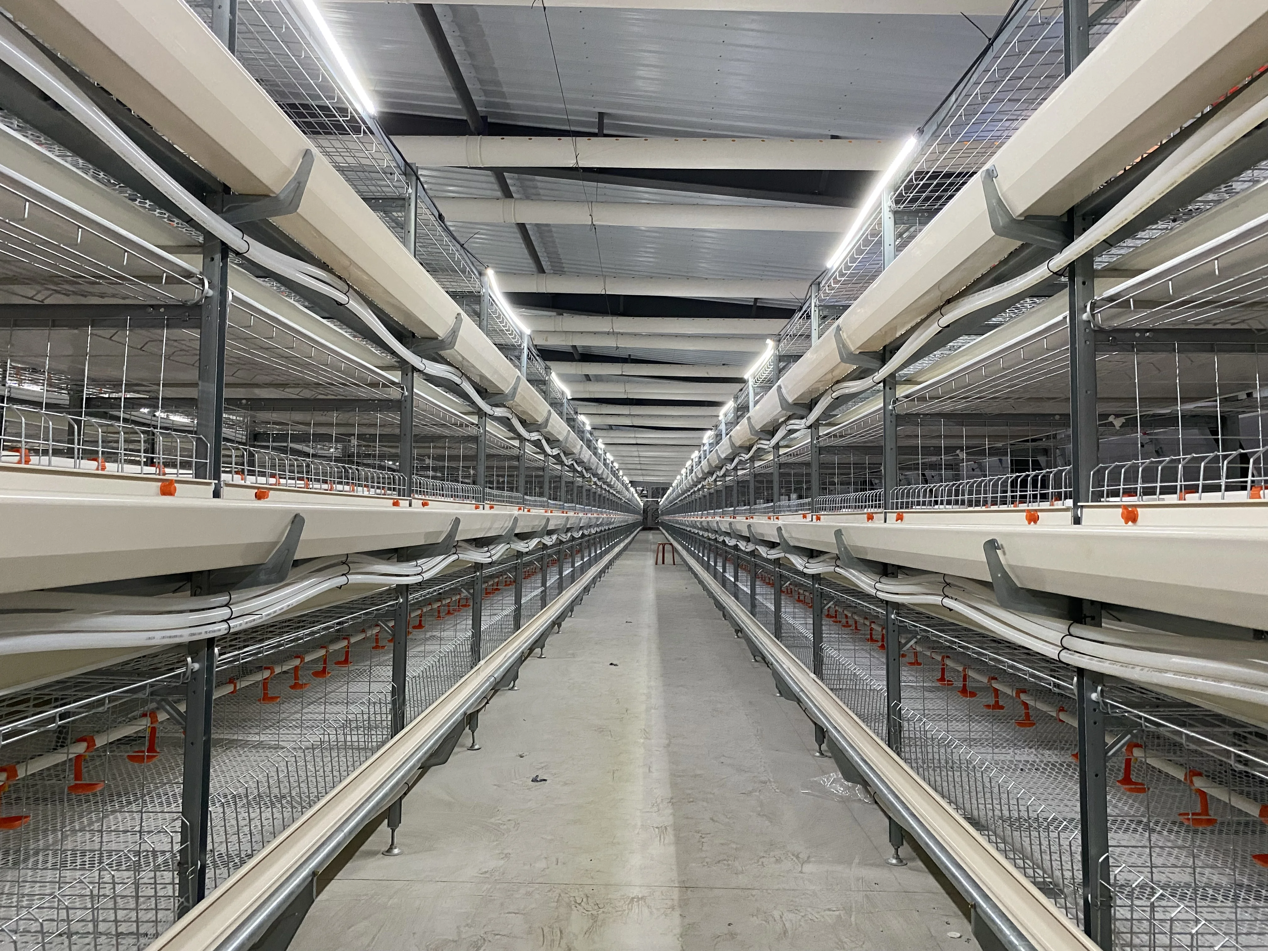 Automatic galvanized metal battery broiler breeder chicken rearing cage