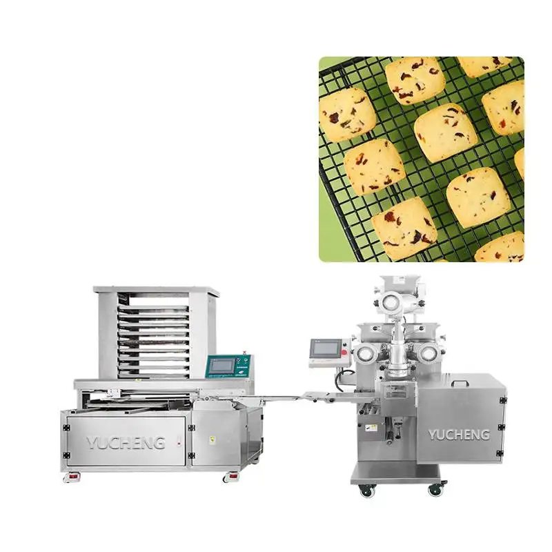 Ice Box Cookies Encrusting Machine Provided 2080 1 Set Fast Food Restaurant Equipment Kibbeh Making Machine for Restaurant 33KW