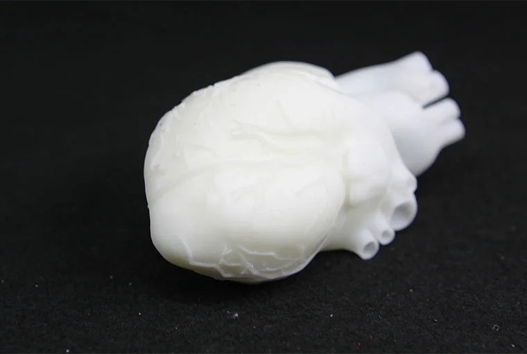 3D печать деталей структуры человеческого тела пользовательские модели Скелет прототип анатомии костей