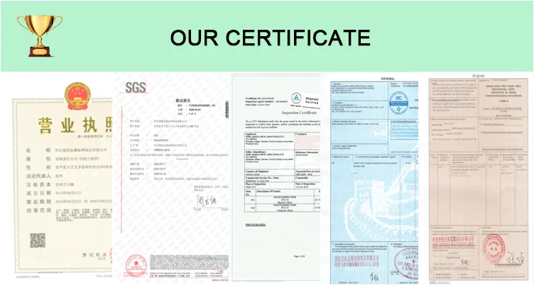 paste-pic-dp_uuid_at5jk