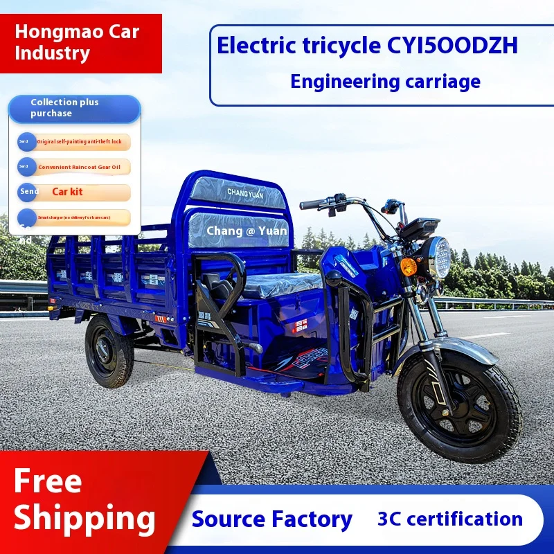70-80km 1200W Electric Cargo Tricycle Truck Simple Tricycle