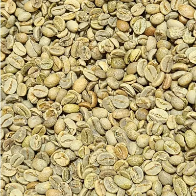 100% Quality roasted cocoa beans for sale Bulk cocoa beans/Cocoa Beans