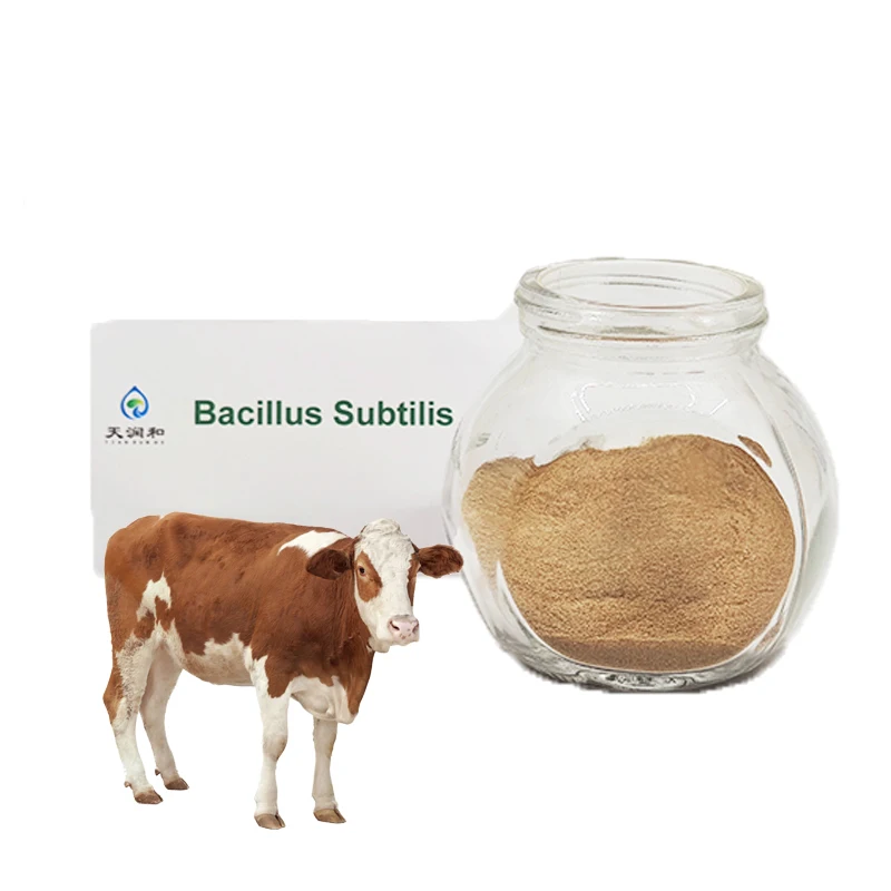 High Quality bacillus subtillis coagulans probiotic For Aquaculture Product