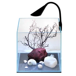 Aquarium High transparent glass fish tank    plants  light  for live  grass