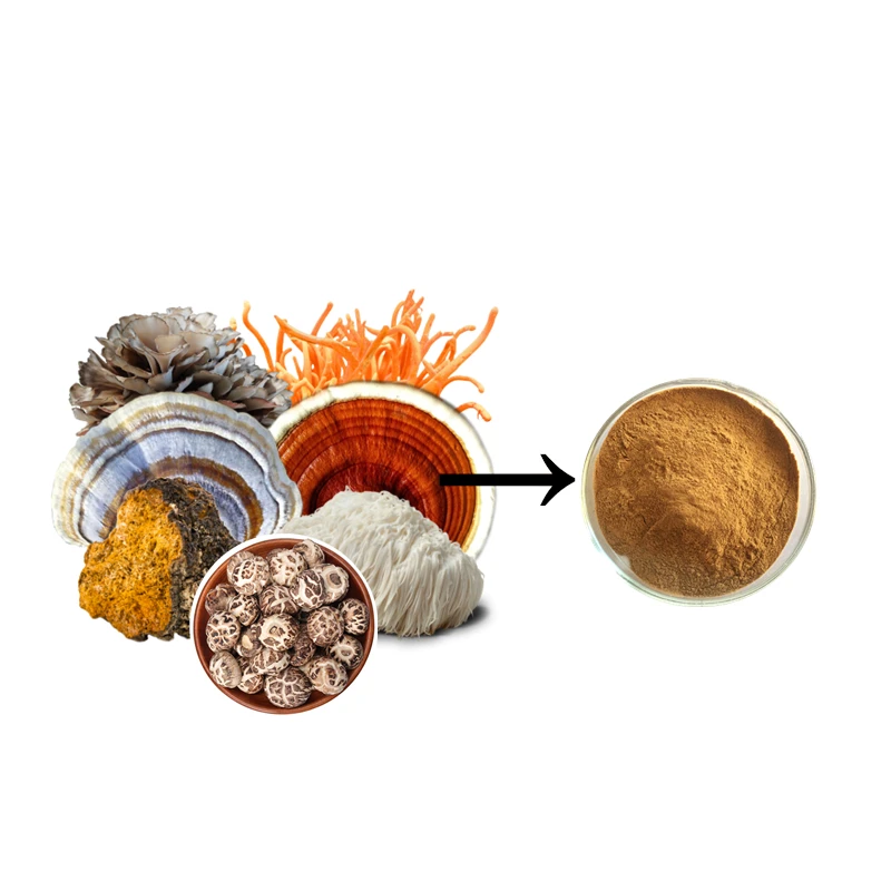 7 in 1 Mushroom Extract Superfood Blend Powder-Lions Mane, Reishi, Cordyceps, Chaga, Turkey Tail, Maitake,Shiitake