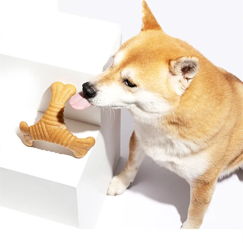 Durable Pet Dog Puppy Toothbrush Dog Dental Care Chew Bones Anti-anxiety Molar Toy