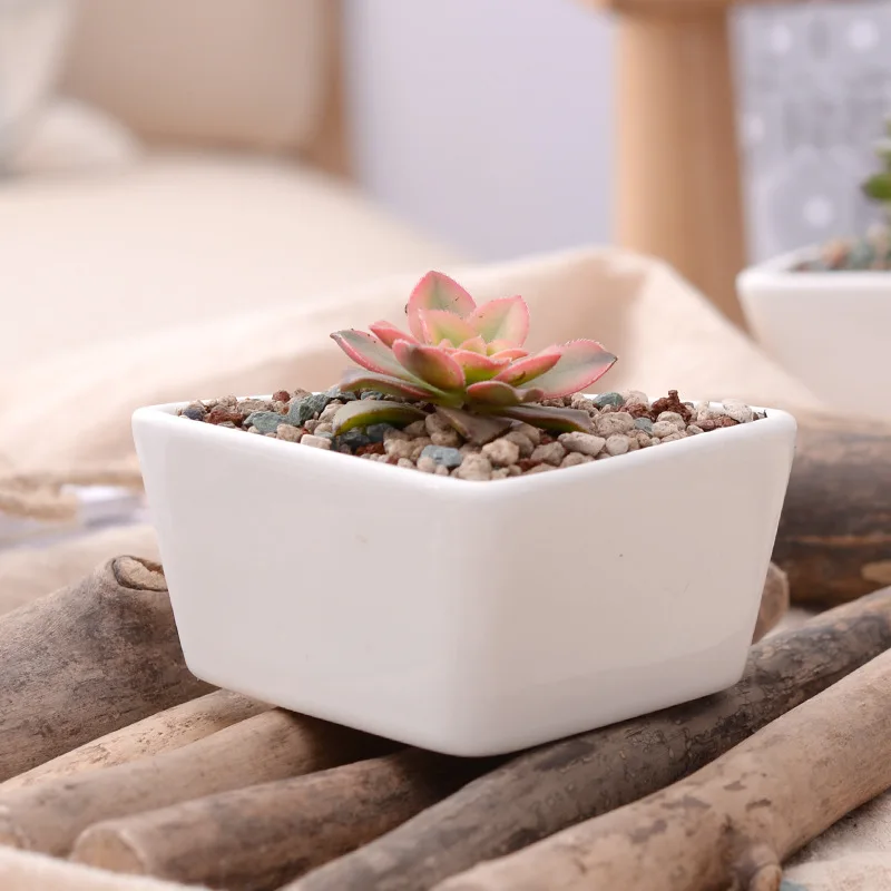 Competitive Price Triangle shape Succulent Planter Pot White Modern Decorative Desktop plant pot
