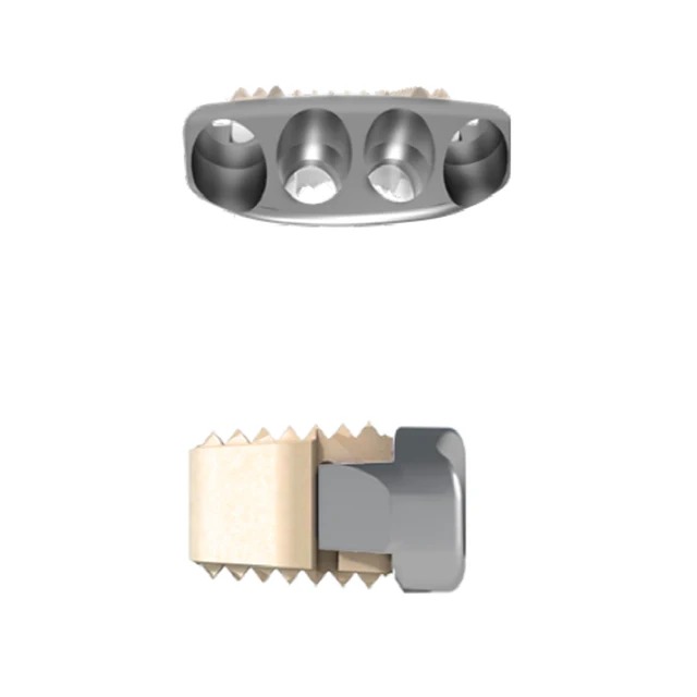 
Interbody Fusion Cage titanium trauma Anterior cervical plate high-quality implantes 
