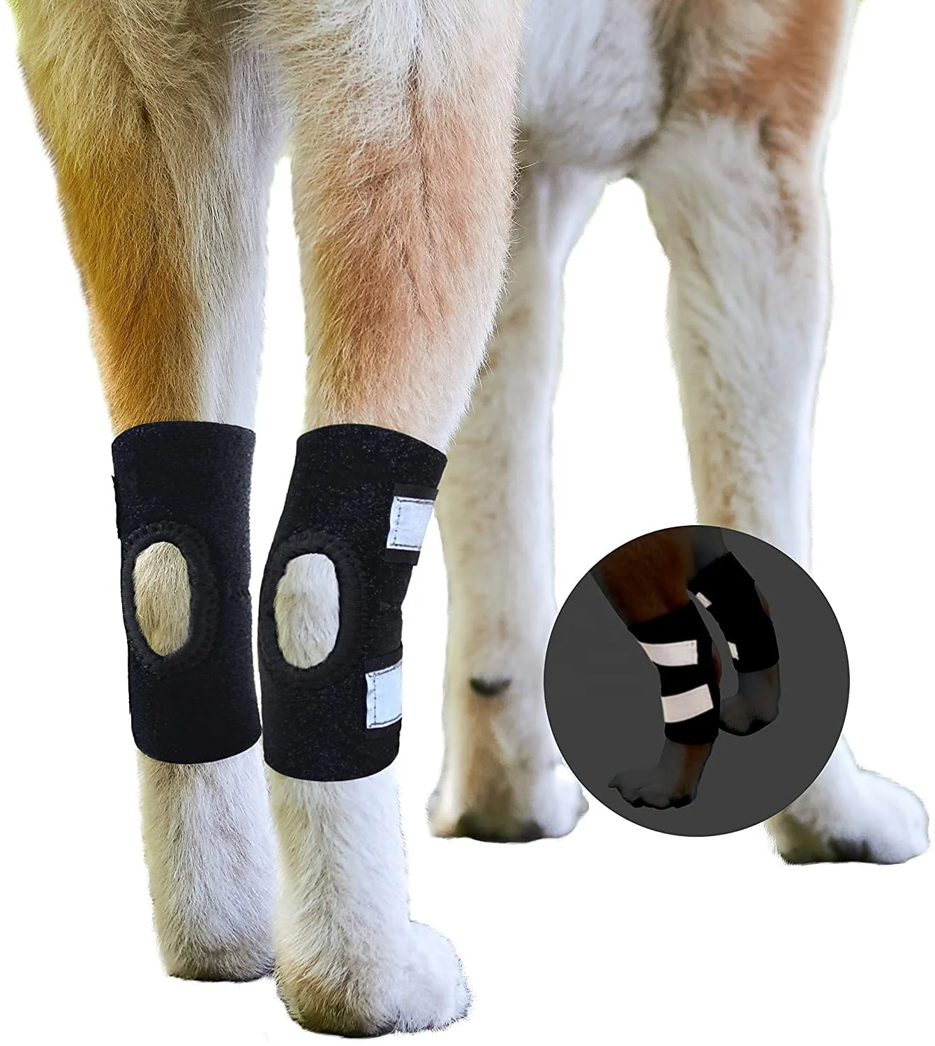 small dog knee brace ortocanis knee brace leg wraps for dogs knee brace for dogs with torn acl