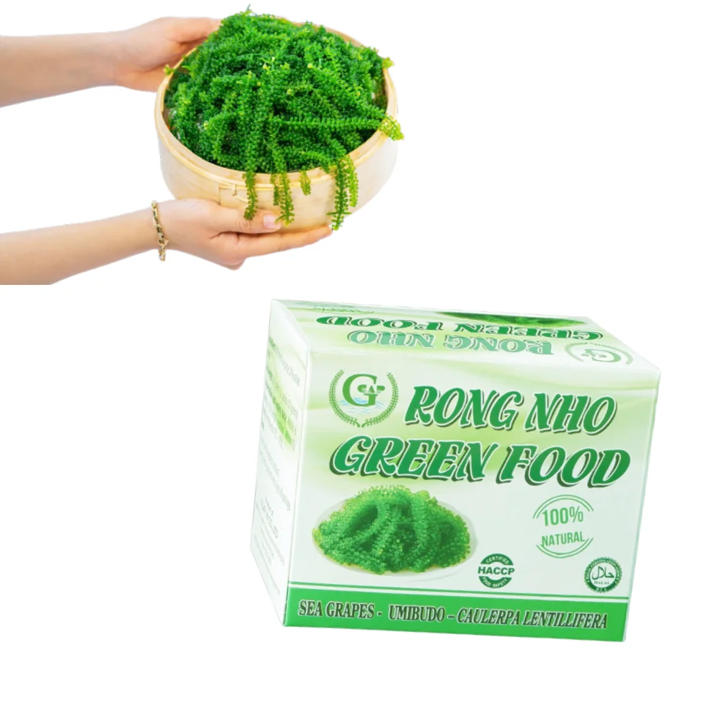 Top Favorite Sea Grapes Seafood Dehydrated Seagrapes Competitive Price Iso Certification Packaging In Carton Box