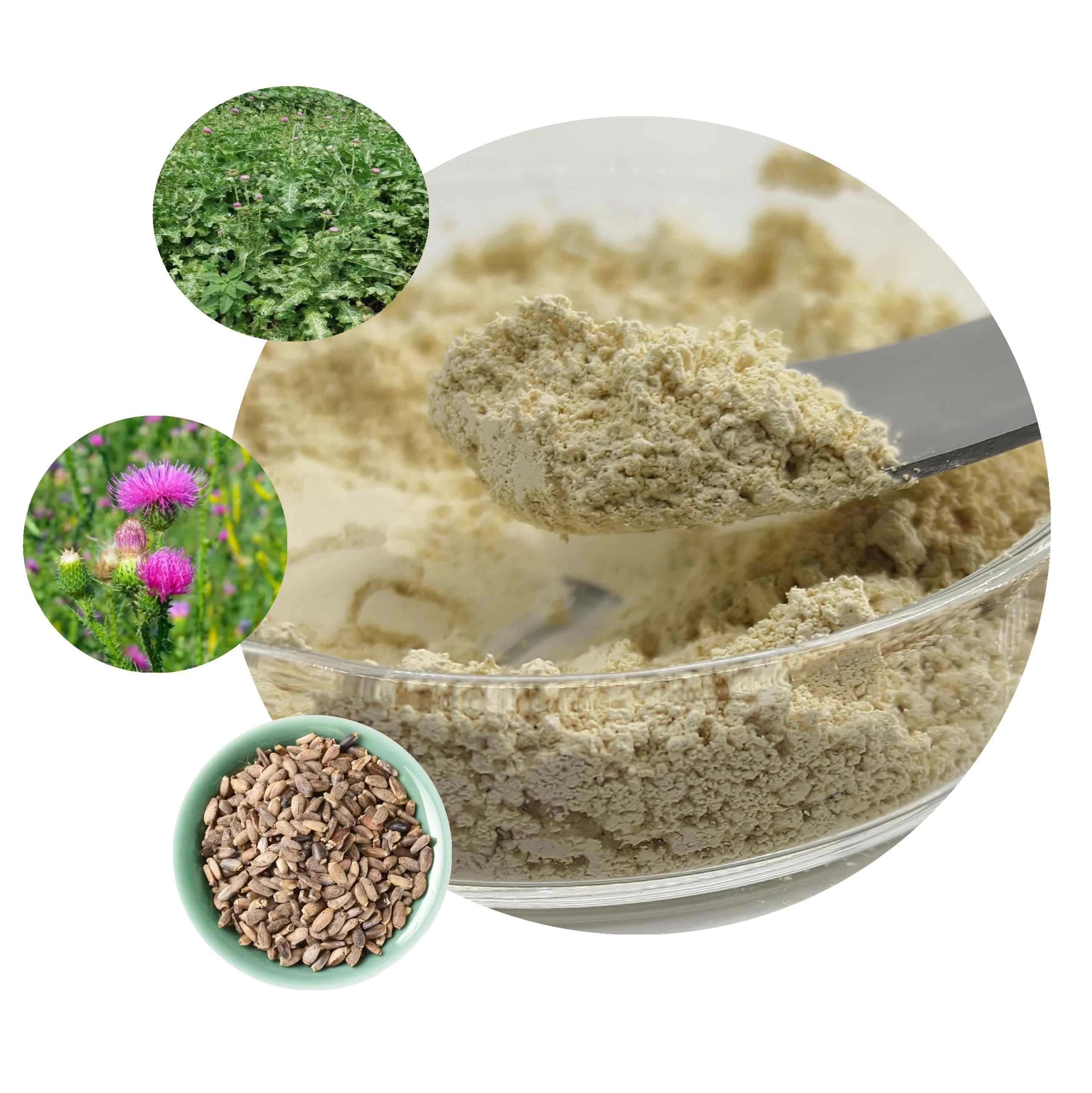 RICI Milk Thistle Seed/Цветочный Экстракт Silybin 98 сухое Расторопши Сухой Экстракт Silbin порошок