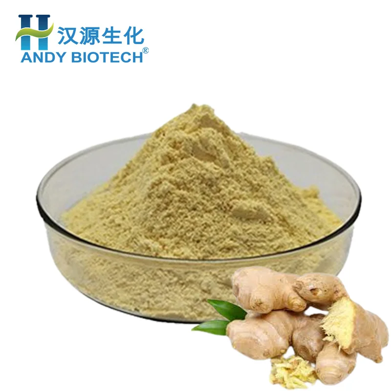 High Purity Ginger Extract Ginger Root Powder 6-Gingerol 3% 5% Gingerol