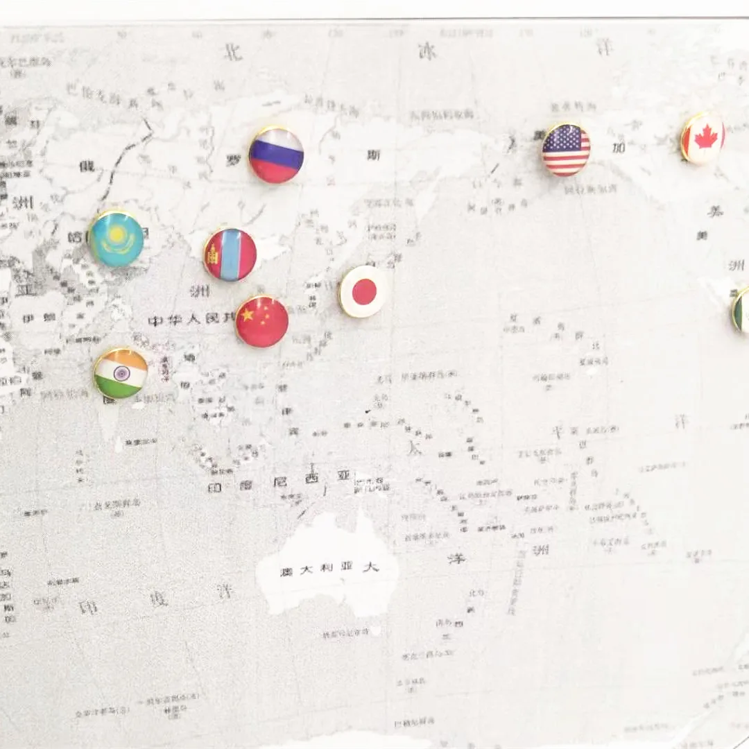 Customization 100 National Flag Pins Thumb Tacks Country Map Push Pin