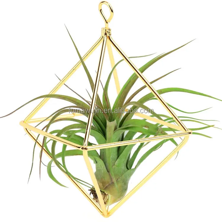 China manufacturers hanging diamond-shaped geometric mini pineapple air plant holder metal