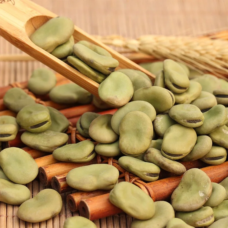 Коричневые Широкие бобы, сушеные высококачественные Широкие бобы зеленого цвета