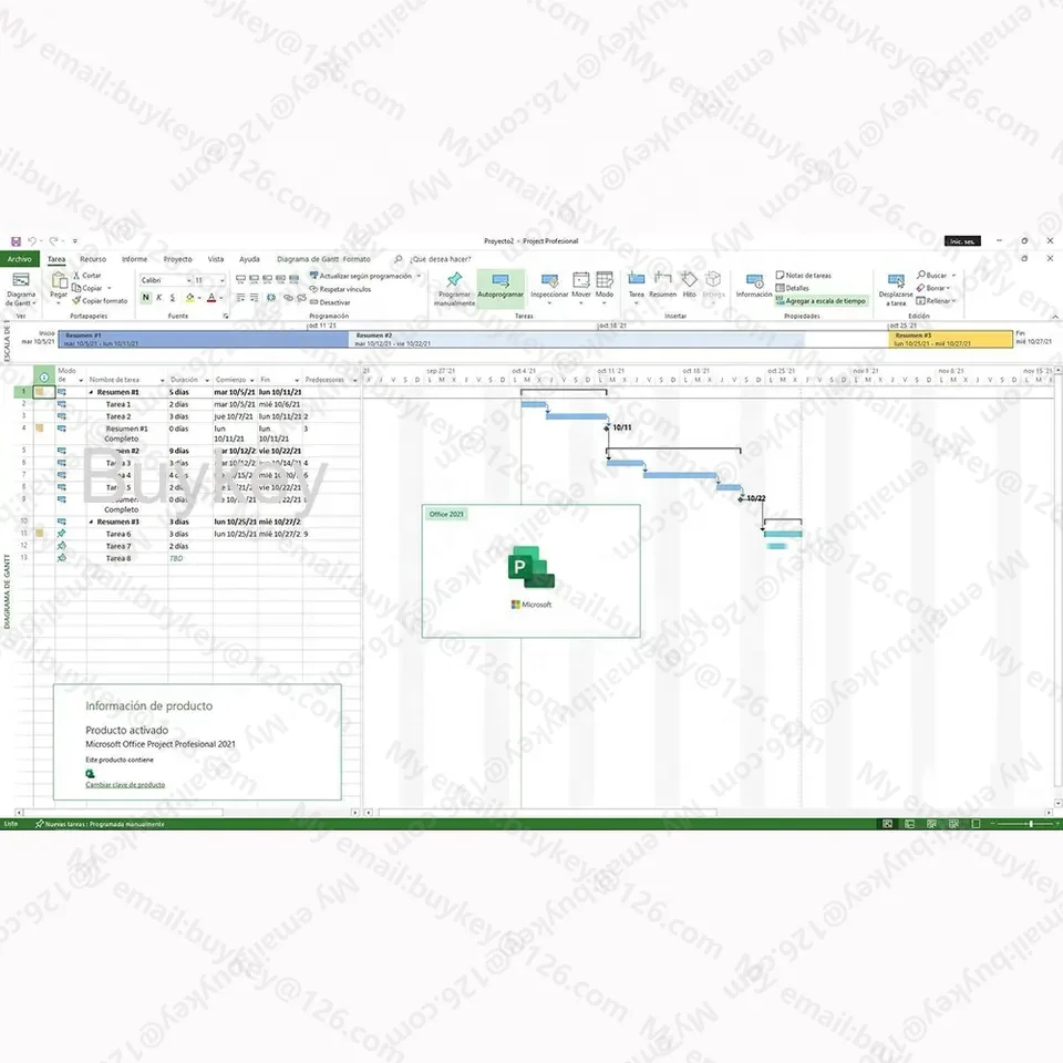 office 2019 project professional retail 2019 project professional PC  license key send by email 2019 project pro