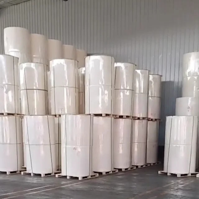Factory Cheap Price Polyester Mat Felt for SBS APP Bitumen Waterproof Membrane