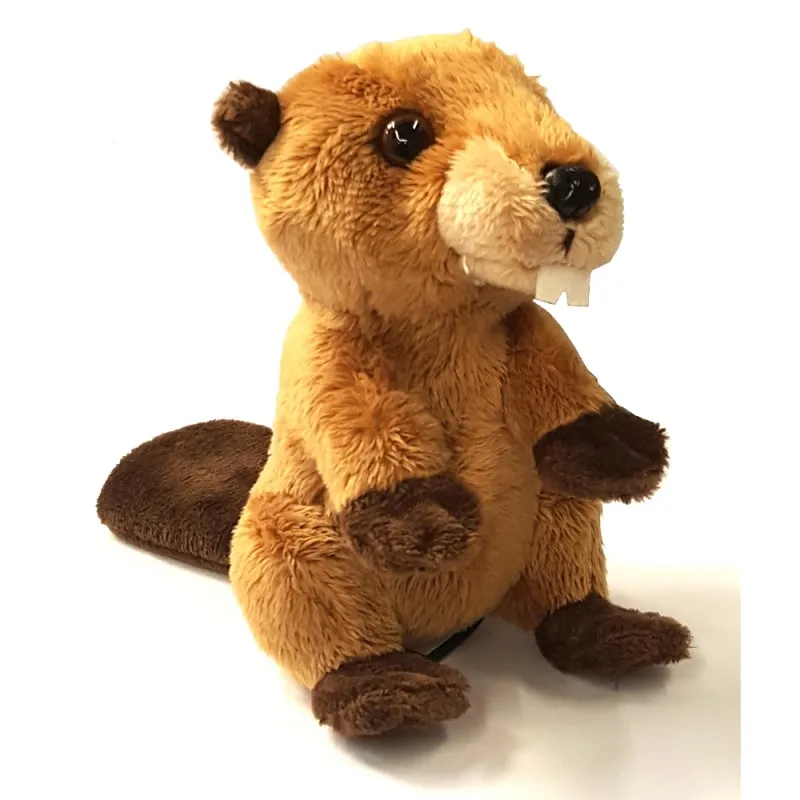 beaver 11-B