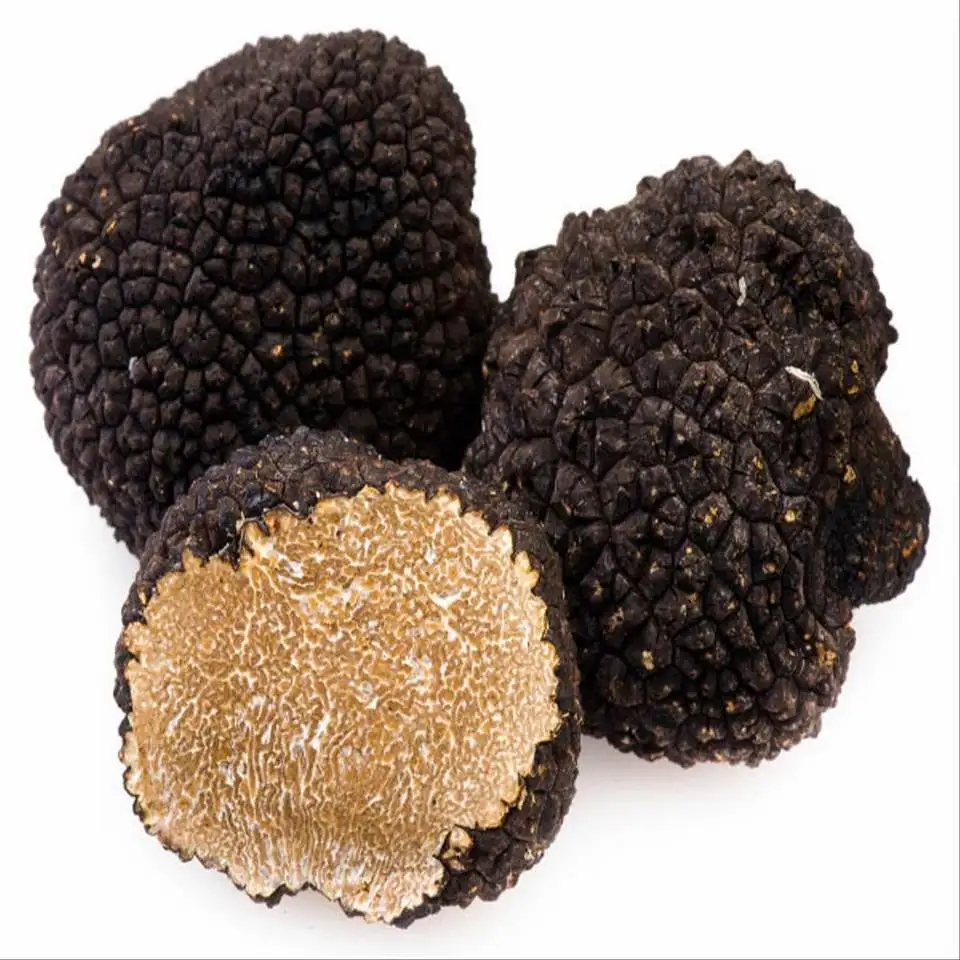 Best fresh summer truffle for cooking VEGAN FOOD ORGANIC WILD