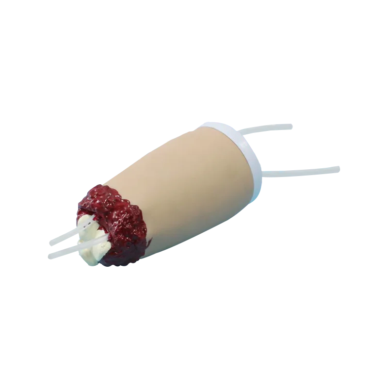 ADA-H3008 Lower amputated limbs trauma hemostasis model