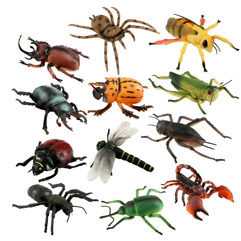 8' Natural animal world hollow plastic beetle cricket model grasshopper insect kids toy