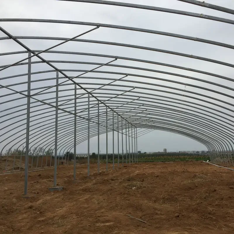 CUOYUEH Hot Sale Low Cost Tunnel Frame Single Span Pe Film Greenhouse Serre Agricole For Flowers Plant Agriculture Greenhouse