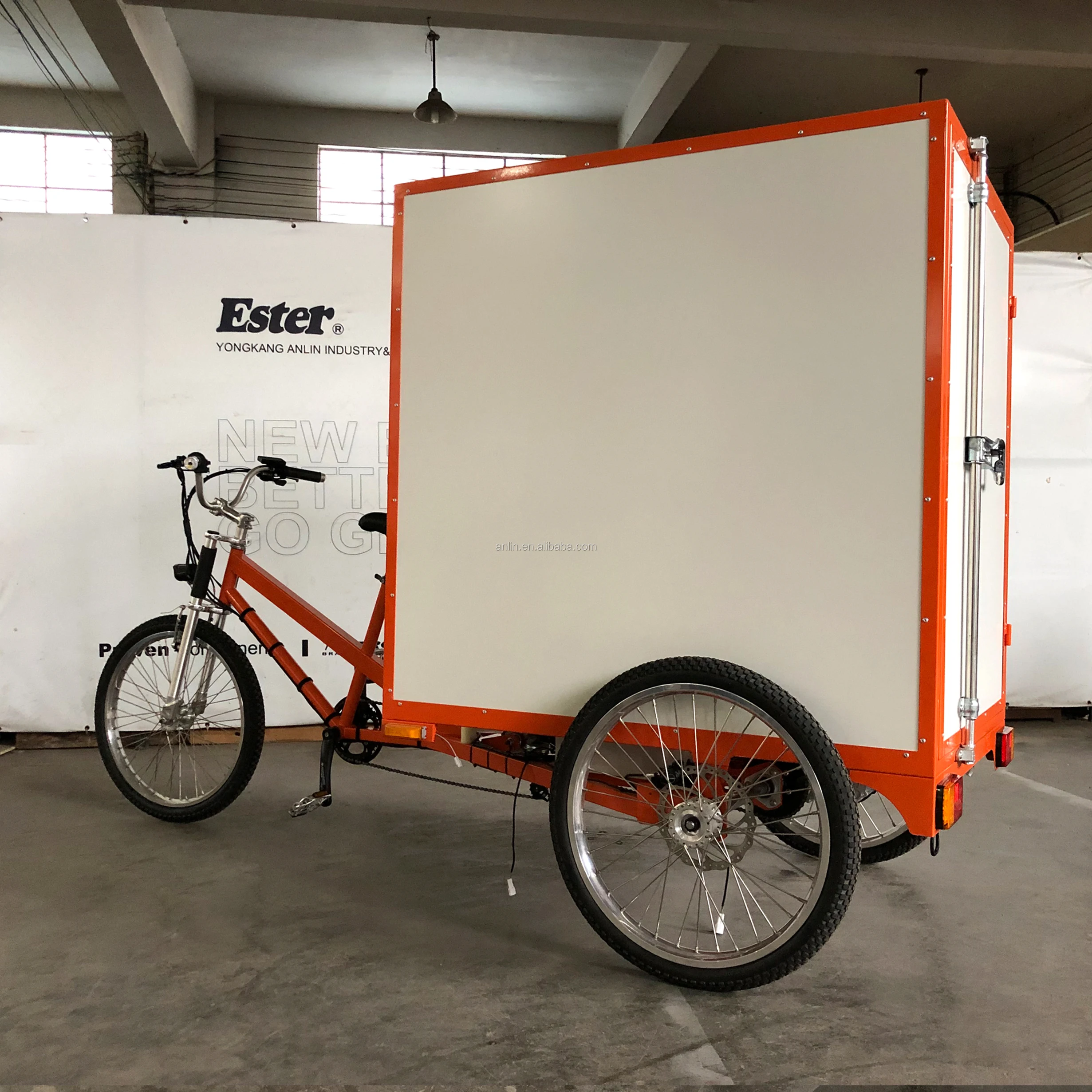 ESTER Cargo Tricycle on Sales ,500W Rear Motor, Waterproof Line,  customer request