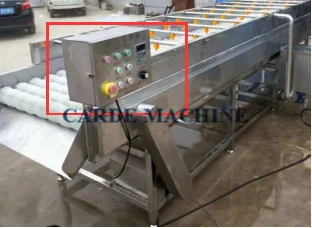 Continuously parallel brush roller fruit root vegetable cleaner washing machine for potato radish carrot lotus