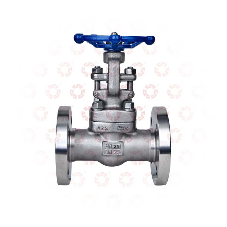 2 inch 3 inch 4 inch Industrial Grade DN25 PN25 Manual Stainless Steel Globe Valve Customized Gate Valve