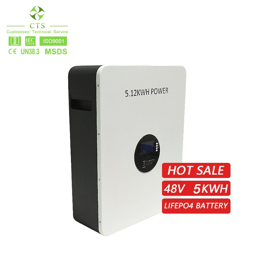 CTS Wall Mounted Battery 48V 100Ah 200Ah Lithium Battery for Home Solar Energy Battery System