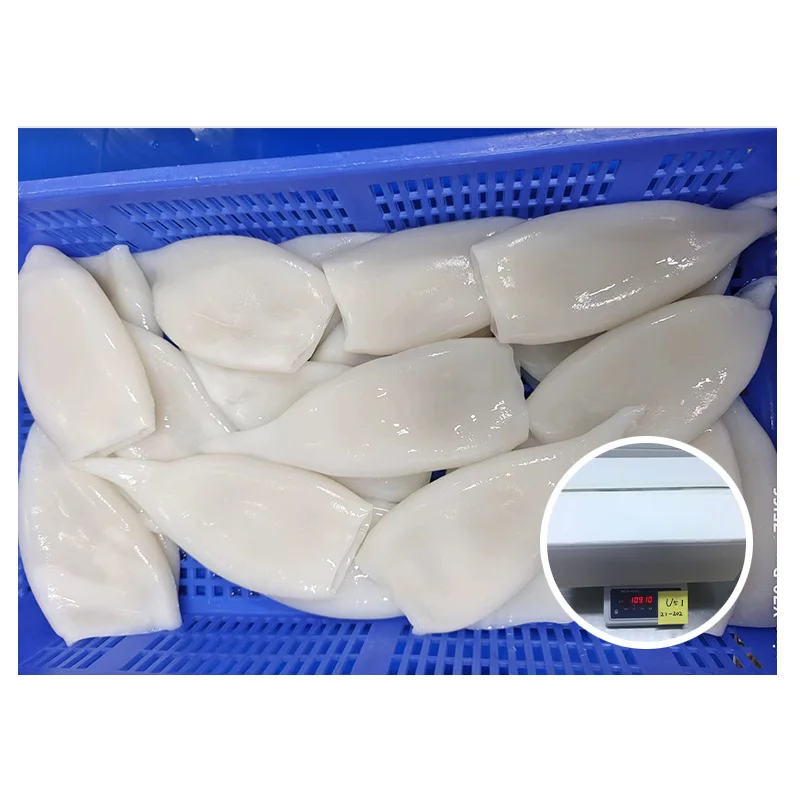 Frozen Gigas Squid Tube Head Off U3 U4 U5 Frozen Squid Tubes Egypt