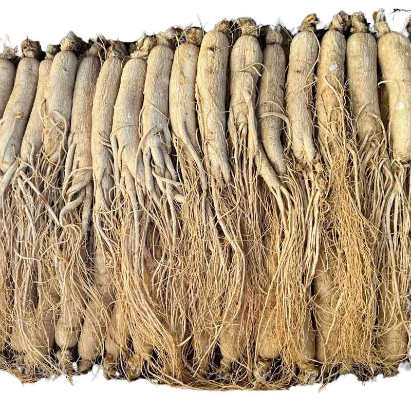 High Quality 6-Year Dried Panax Ginseng Root Premium Single Spices & Herbs Raw Processing Air-Dried