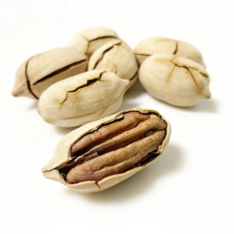 Pecan Nuts Roasted and Cracked 5A  Nutritious Direct-Eating Snack Wholesale from China .