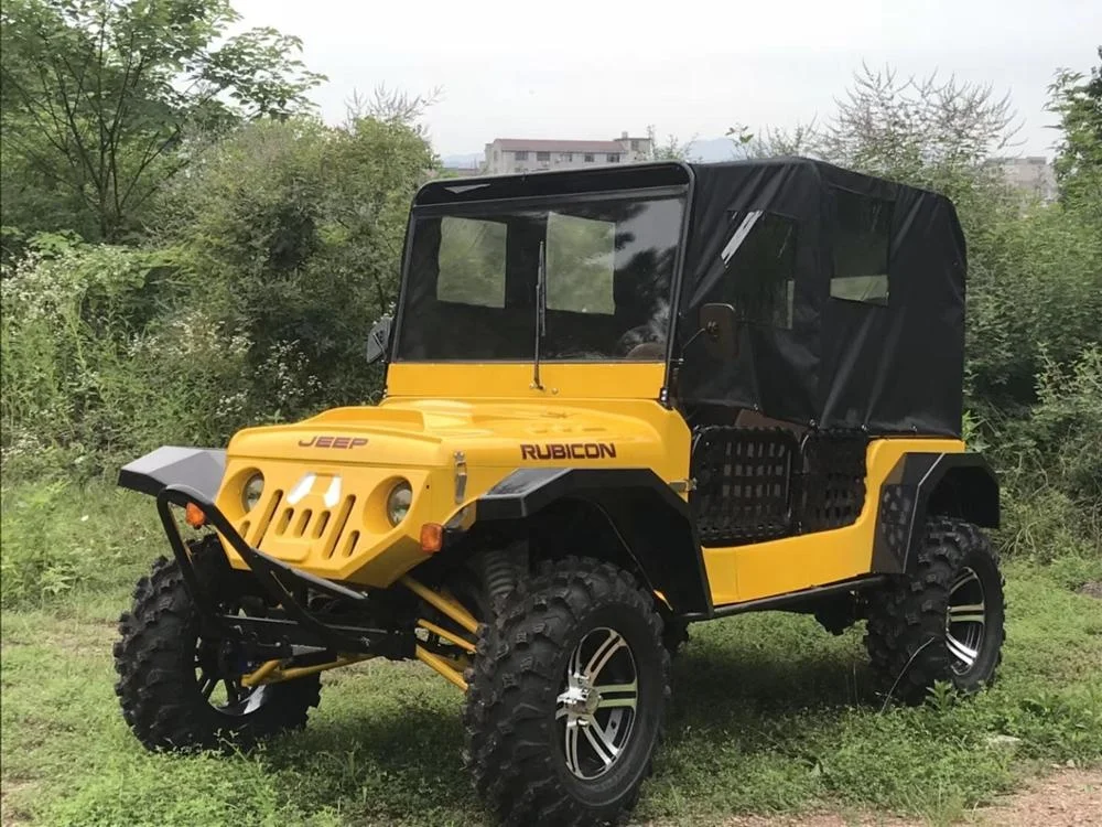 
New Design 4 People Off Road Dune Buggy/Mini Jeep/Electric Car For Fun 