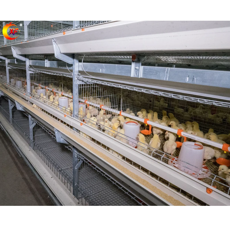 Animal Husbandry Equipment H Type Broiler Cage Chicken Cage with Corrosion Resistant Food Trough