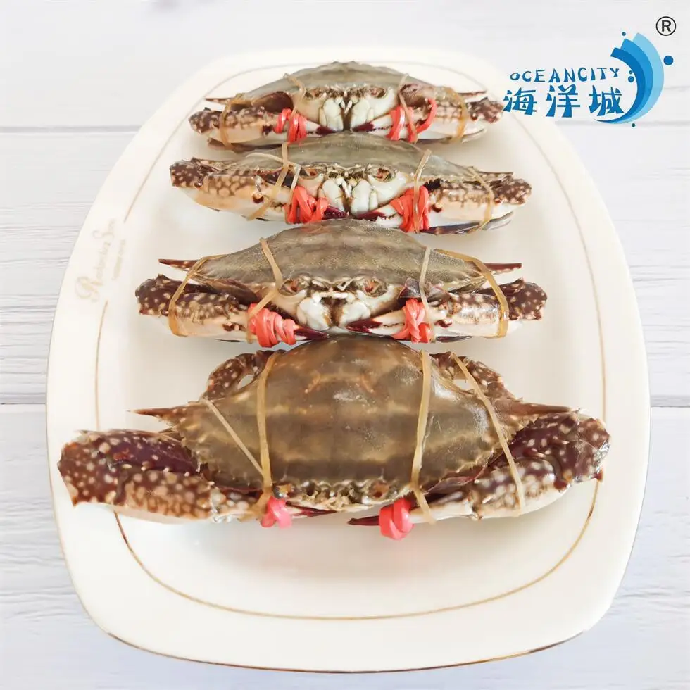Оптовая продажа высокое качество плавающие Замороженные крабы типы морской пищи