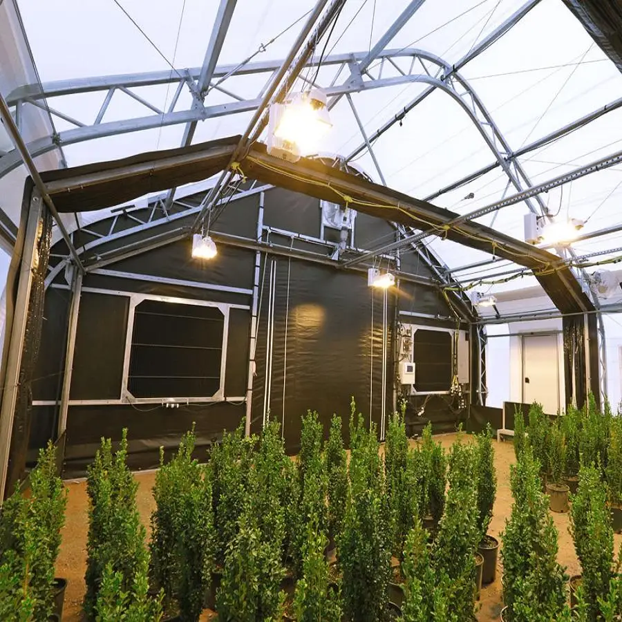 Light Deprivation Greenhouse For Sale Commercial Plastic Film Blackout Greenhouse