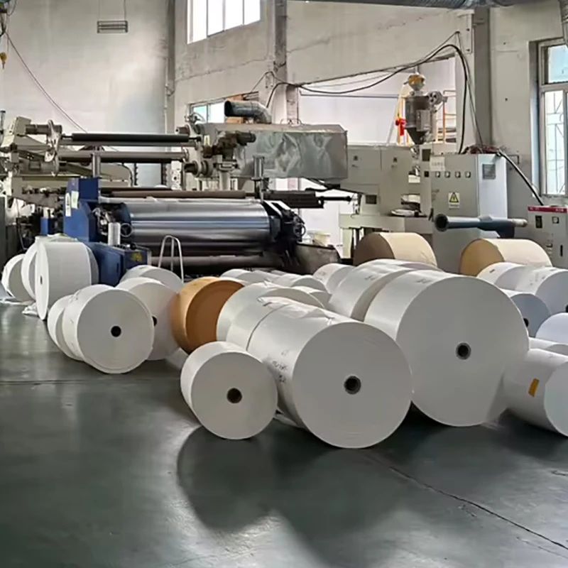 Eco-friendly Food Grade Grease Proof Release Paper Single Double Release Paper