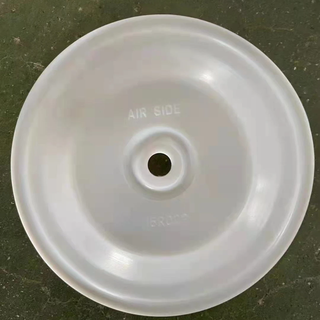 ptfe diaphragm fit in diaphragm pump made by ptfe diaphragm manufacturer