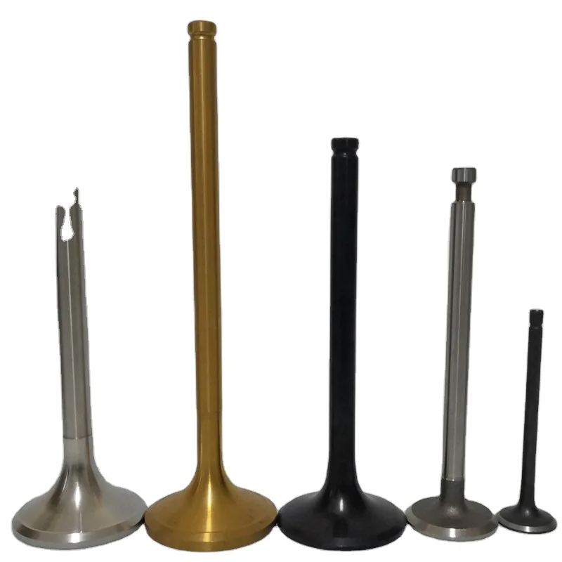 International Market Price Durable Quality For BMW 318i 11341706941 Intake Valve 11341717579 Exhaust Engine Valves