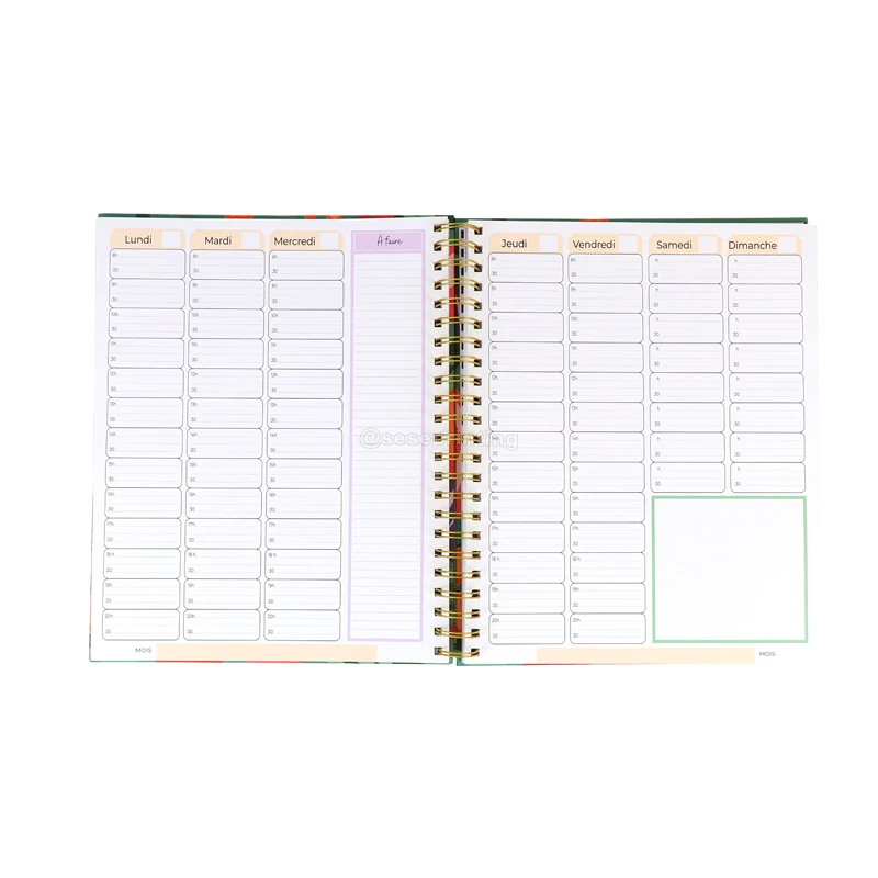 Custom Design 12 Month Financial Journal Dateless Diary Notebook Printing Budget Planner Agenda