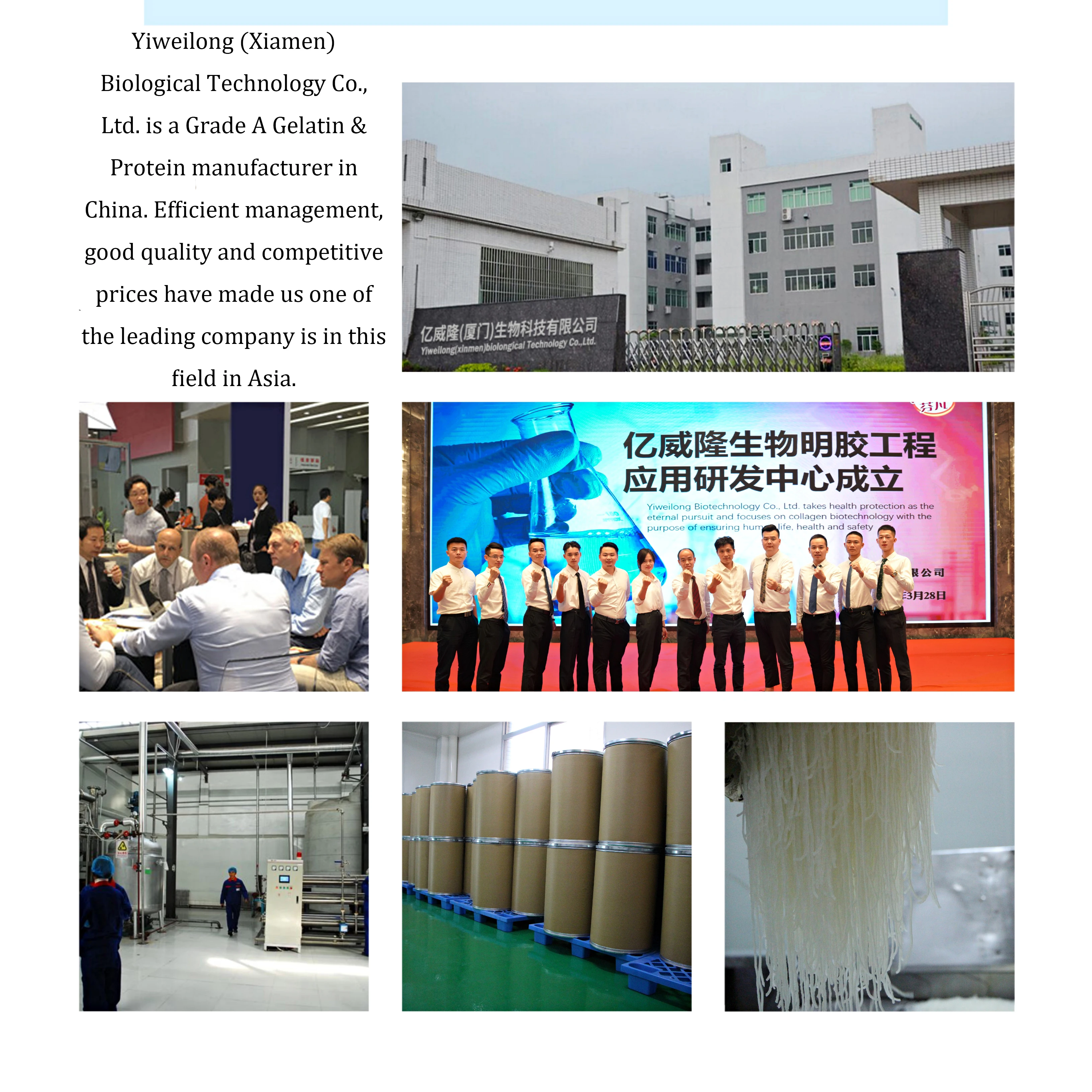 
Professional Manufacturer High transparency bulk fish gelatin for customized gelatin capsule for promotion 