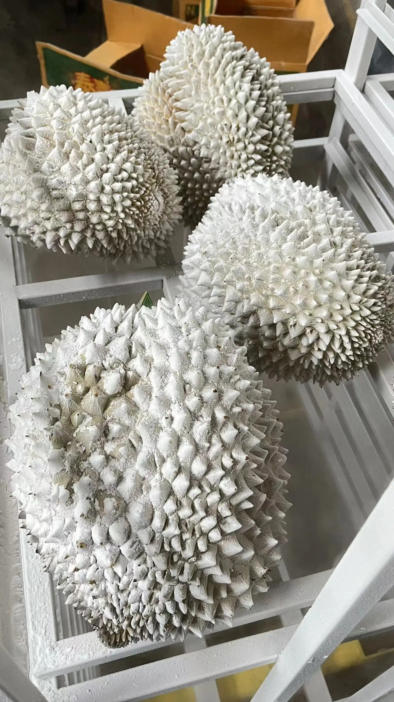 Liquid Nitrogen  Cabinet Type  Durian Instant Freezer